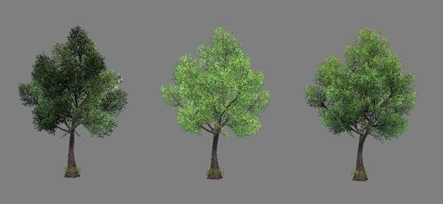tree_normal_640x295